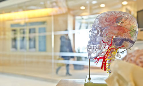 Dental-and-Medical-3D-Print-small Dental-and-Medical-3D-Print-small