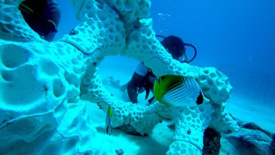3d-printed-coral-reef 3d-printed-coral-reef